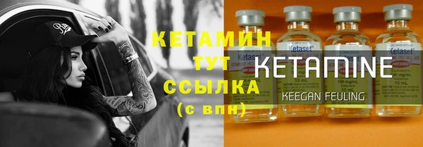 прущие грибы Кулебаки
