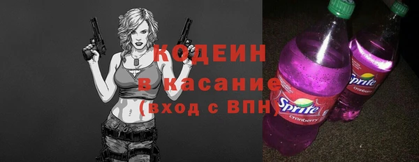 прущие грибы Кулебаки