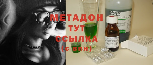 прущие грибы Кулебаки