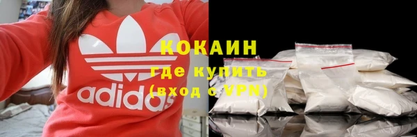 прущие грибы Кулебаки