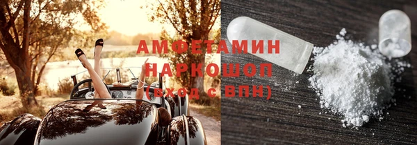 прущие грибы Кулебаки