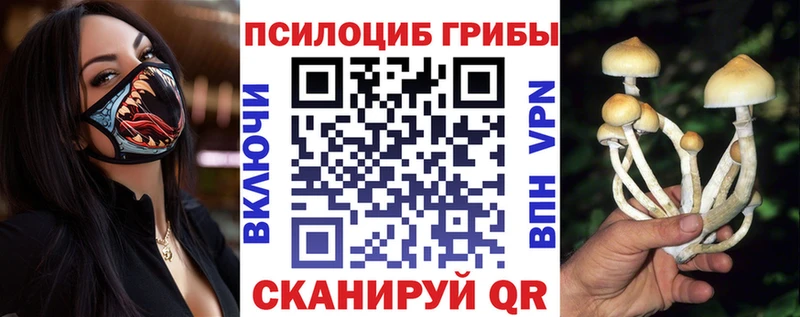 Галлюциногенные грибы Psilocybe  Рязань 