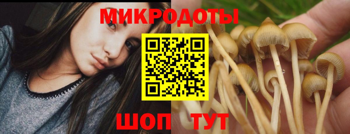 Псилоцибиновые грибы Рязань